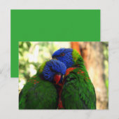 ラブフォトにレインボーロリケッツ ポストカード (正面/裏面)