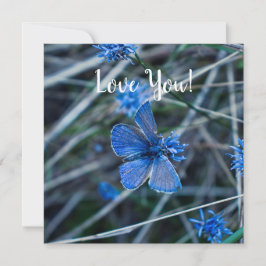 ラブフラットグリーティングカード カード