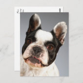 ラブブルドッグフランスの子犬ポストカード ポストカード (正面/裏面)