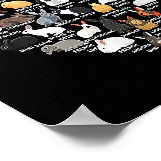 ラブブンニーズおもしろいラビットハート ポスター (角)