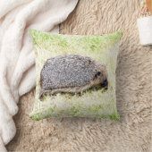 ラブヘッジホグ クッション (ブランケット)