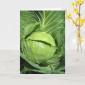 ラブベジースグリーティングカード カード (黄色い花)