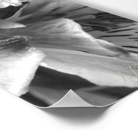 ラブポスター宣言 ポスター (角)