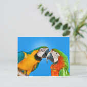 ラブポストカードのパロッツ ポストカード (スタンド正面)