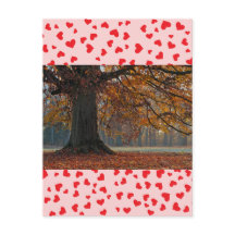 ラブポストカード