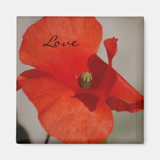 ラブポピーマグネット マグネット (正面)
