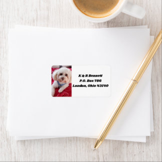 ラブマイプードル住所 シール