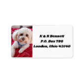 ラブマイプードル住所 シール (正面)