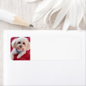 ラブマイプードル差出人住所ラベル ラベル (インサイチュ)