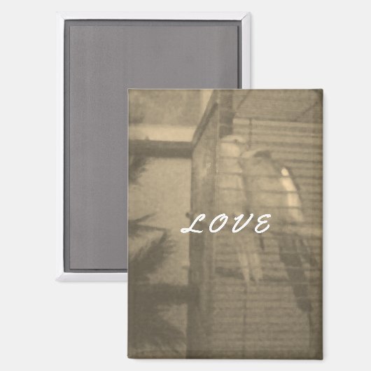 ラブマグネット マグネット (正面/裏面)