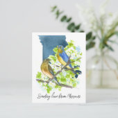 ラブミズーリBluebirds Hawthornの花を送信 ポストカード (スタンド正面)