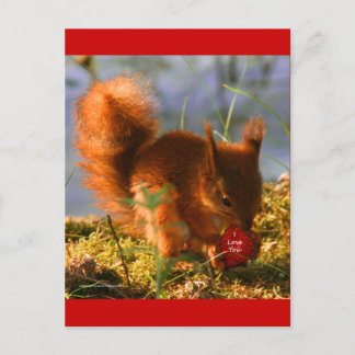 ラブユーストレベリー ポストカード