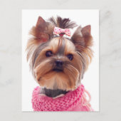 ラブヨークシャーテリアパピードッグポス空白のトカード ポストカード (正面)