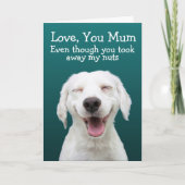 ラブラおもしろいドル誕生日カード カード (正面)