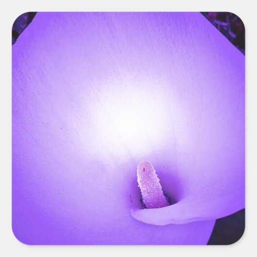 ラブライト、リリー_ スクエアシール (正面)