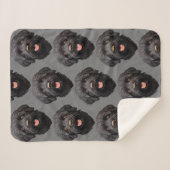 ラブラドゥルブラックドッグ シェルパブランケット (正面(横))