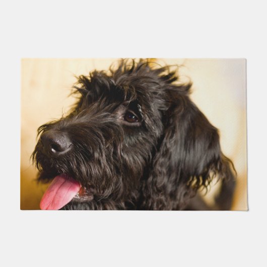 ラブラドゥードル犬. ドアマット (正面)
