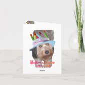 ラブラドルイン誕生日ハット カード (裏面)