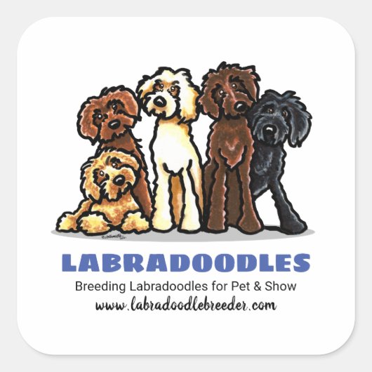 ラブラドル増殖カスタムマーケティング スクエアシール (正面)