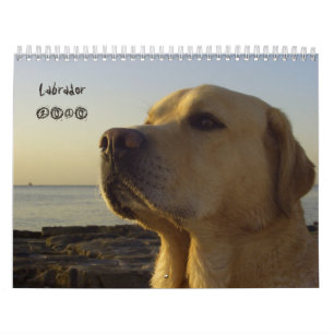ラブラドル・レトリーバー犬のカレンダー2010年 カレンダー