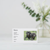 ラブラドル・レトリーバー犬の名刺 名刺 (スタンド正面)