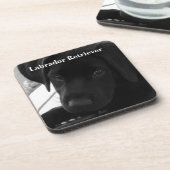 ラブラドル・レトリーバー犬の子犬 コースター (左側)