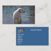 ラブラドル・レトリーバー犬の繁殖動物の名刺 名刺 (正面/裏面)