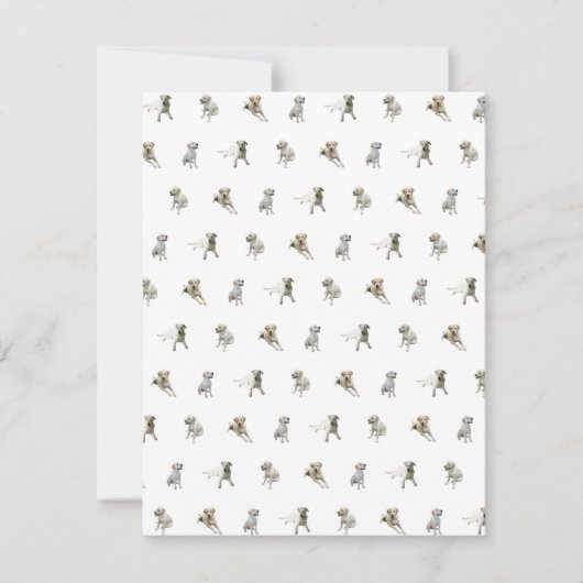 ラブラドル・レトリーバー犬パターン(白い) サンキューカード (正面)