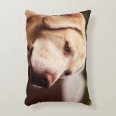 ラブラドル・レトリーバー犬 アクセントクッション (正面(垂直))
