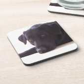 ラブラドル・レトリーバー犬 コースター (左側)