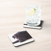 ラブラドル・レトリーバー犬 コースター (右側)