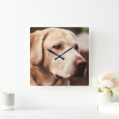 ラブラドル・レトリーバー犬 スクエア壁時計 (ホーム)