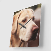 ラブラドル・レトリーバー犬 スクエア壁時計 (傾斜)