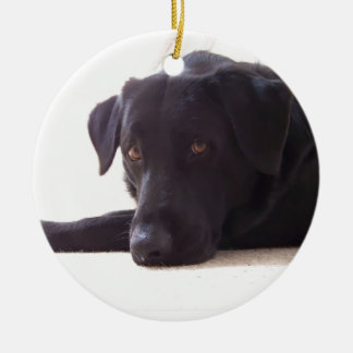 ラブラドル・レトリーバー犬 セラミックオーナメント
