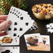 ラブラドル・レトリーバー犬 トランプ (インサイチュ)