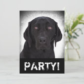 ラブラドル・レトリーバー犬 招待状 (スタンド正面)