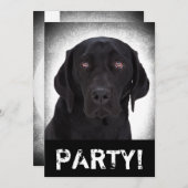 ラブラドル・レトリーバー犬 招待状 (正面/裏面)