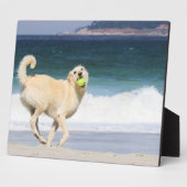 ラブラドードルハッピーデイオンビーチ フォトプラーク (側面)