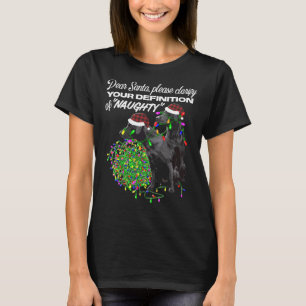 ラブラドールいけなリトリエバーメリークリスマスfor Lab Tシャツ