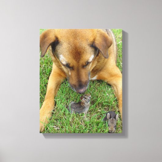 ラブラドールとrabbits Canvas Print キャンバスプリント (正面)