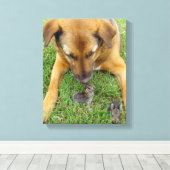 ラブラドールとrabbits Canvas Print キャンバスプリント (インサイチュ (ウッドフロア))