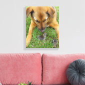 ラブラドールとrabbits Canvas Print キャンバスプリント (インサイチュ (リビング))