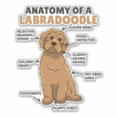 ラブラドールのかわいい犬の子犬の解剖学 シール (正面)