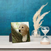 ラブラドールの子犬が森の中に座って フォトプラーク (インサイチュ)