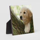 ラブラドールの子犬が森の中に座って フォトプラーク (正面)