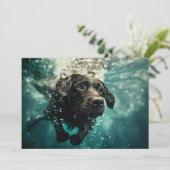 ラブラドールの子犬の水中デザイン カード (スタンド正面)