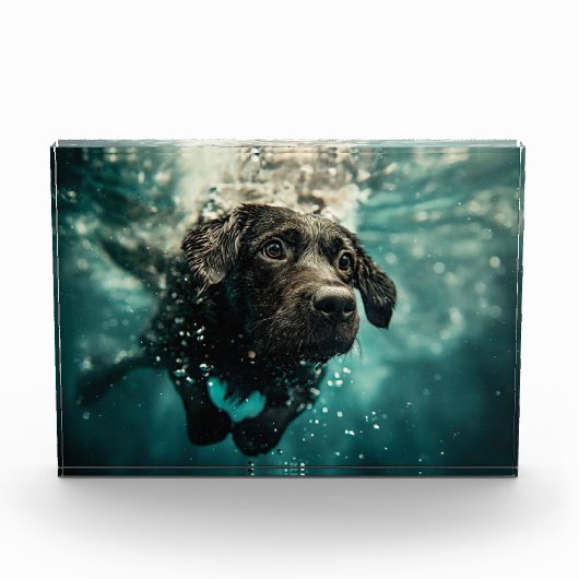 ラブラドールの子犬の水中デザイン フォトブロック (正面)