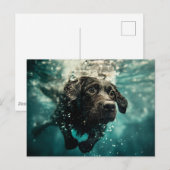 ラブラドールの子犬の水中デザイン ポストカード (正面/裏面)