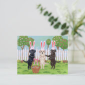ラブラドールイースターバニー!! シーズンポストカード (スタンド正面)