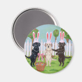 ラブラドールイースターバニー!! マグネット (正面/裏面)